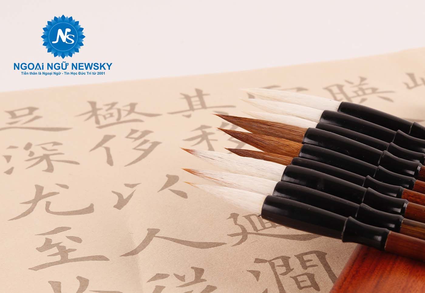 Lịch khai giảng tiếng Trung tại NewSky