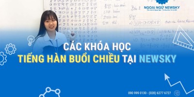 Các Khóa học tiếng Hàn buổi Chiều tại NewSky