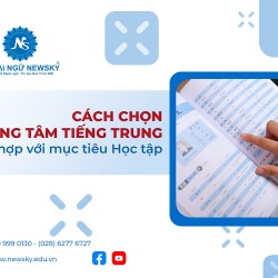 cach-chon-trung-tam-tieng-trung-phu-hop-voi-muc-tieu-hoc-tap