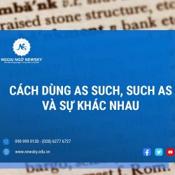 Cách dùng as such, such as và sự khác nhau