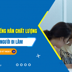 dao-tao-tieng-han-cho-nguoi-di-lam-chat-luong