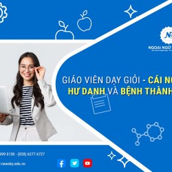 GIÁO VIÊN DẠY GIỎI - CÁI NGHIỆP, HƯ DANH VÀ BỆNH THÀNH TÍCH