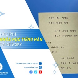 Học phí các Khóa Học tiếng Hàn tại NewSky