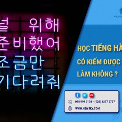 học tiếng Hàn có kiếm được việc làm không