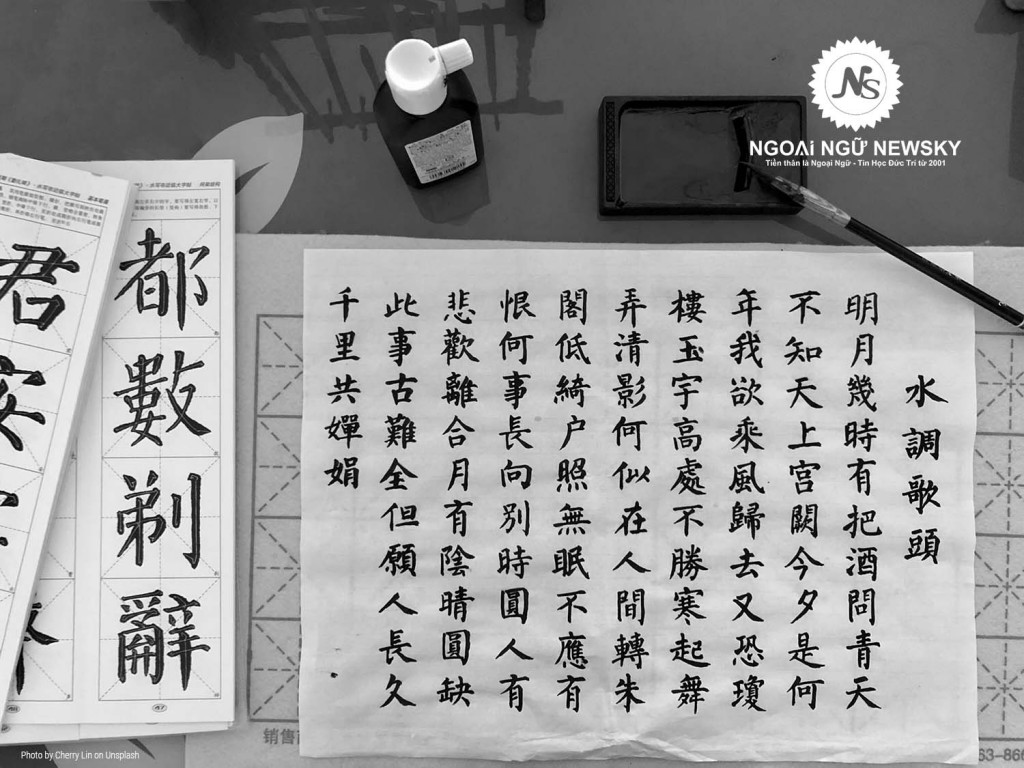 Khóa học tiếng Trung cơ bản tại NewSky