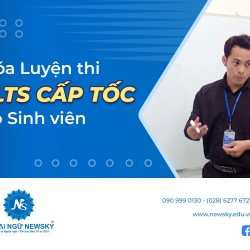 khoa-luyen-thi-ielts-cap-toc-danh-cho-sinh-vien