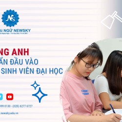 TIẾNG ANH CHUẨN ĐẦU VÀO CHO SINH VIÊN ĐẠI HỌC