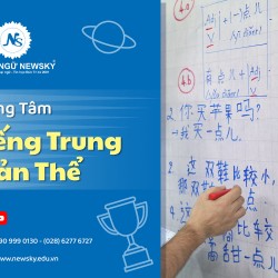 trung-tam-day-tieng-trung-gian-the