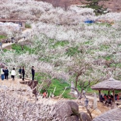 Trung tâm tiếng Hàn uy tín Tân Phú